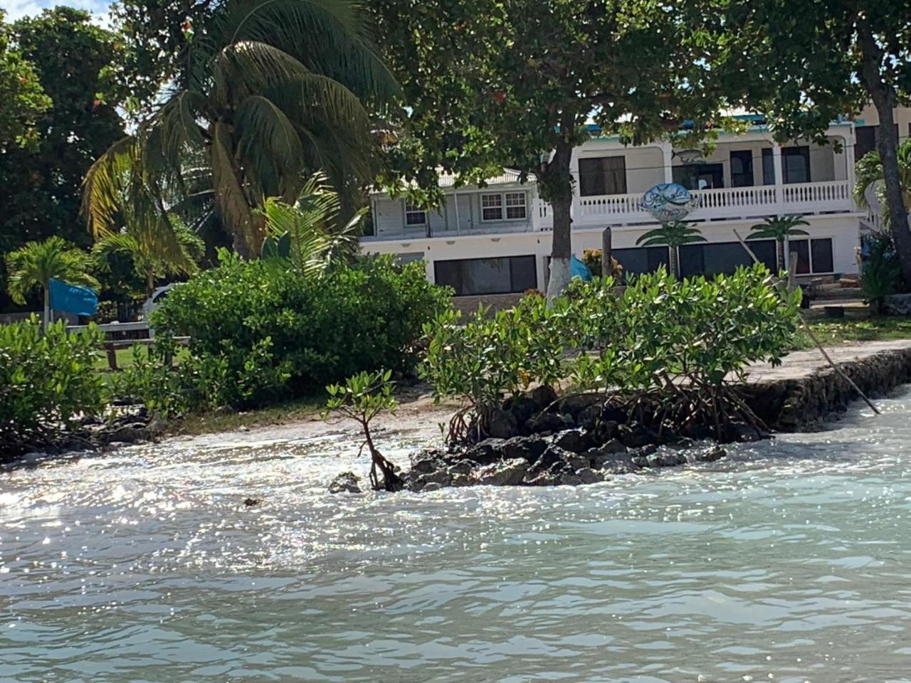 Fernando'S Seaside Hotel Sarteneja Buitenkant foto